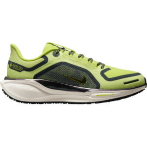 Pegasus 41 GORE-TEX kép