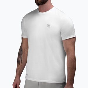 Hayabusa férfi póló Essential fehér (Essential ESSTSM-WH-XL) kép