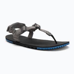 Férfi mezítlábas szandál Xero Shoes H-Trail acélszürke/kék/lolite (H-Trail HTM-SGIO) kép