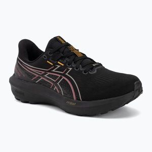 Férfi futócipők ASICS GT-1000 15 black/graphite grey (GT-1000 15 GTX 1011C233-001) kép