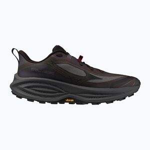 Férfi futócipők Mizuno Neo Daichi 10 raisin/phantom/blackened pearl (Neo Daichi 10 J1GM268053) kép