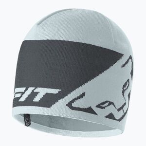 Téli sapka DYNAFIT Leopard Logo cloud blue/0720 (Leopard Logo 08-0000070512) kép