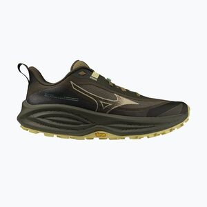 Női futócipők Mizuno Neo Daichi 10 Gtx forest night/silver fern/beechnut (Neo Daichi 10 GTX J1GW268271) kép
