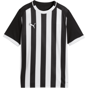 teamLIGA26 Striped kép