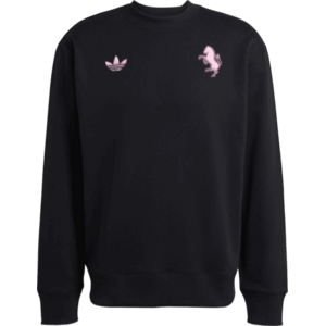 FC Juventus Turin Lfstlr kép