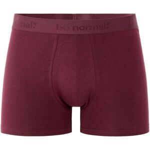 CELIO BINORMAL Férfi alsónemű, bordó, méret kép