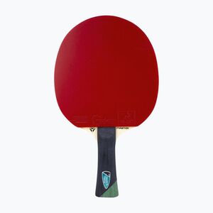Pingpongütő Tibhar Master Alexis Lebrun (Master Alexis Lebrun 03032) kép