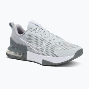Férfi edzőcipő Nike Air Max Alpha Trainer 6 cool grey/wolf grey/pure platinum/white (Air Max Alpha Trainer 6 FQ1833-002) kép