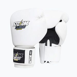Bokszkesztyűk StormCloud Blizzard white/black (Blizzard 750107) kép