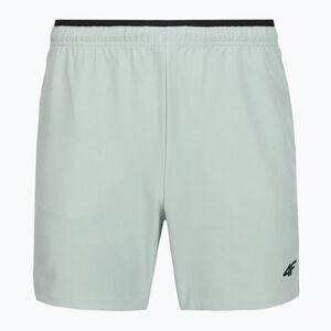 Férfi rövidnadrág 4F Athletic FNK M1260 mint (Athletic FNK M1260 4FWSS26TFSHM1260) kép