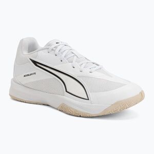 Férfi kézilabda cipő PUMA Accelerate Pro 5 white (Accelerate Pro 5 109018-02) kép