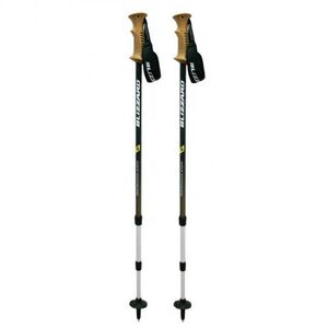 Túrázó botok BLIZZARD Trekking Performance shock kép