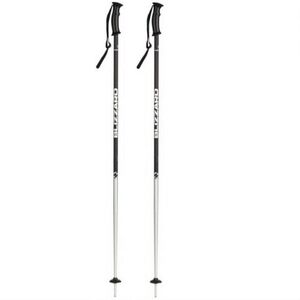 Síbotok BLIZZARD Sport ski poles, black matt silver kép