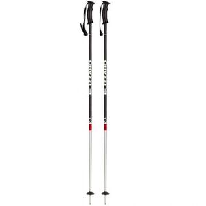 Síbotok BLIZZARD Rental ski poles kép