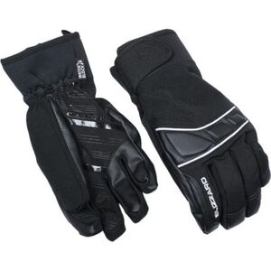 Síkes kesztyűk BLIZZARD Profi ski gloves, black silver kép