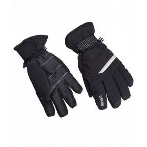 Női síkesztyűk BLIZZARD Viva Plose ski gloves, black white silver kép