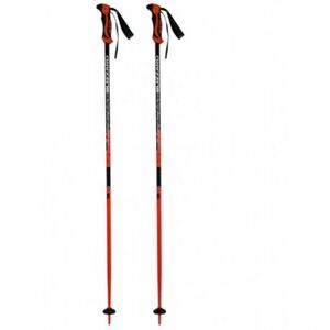 Síbotok BLIZZARD Allmountain ski poles, neon orange kép