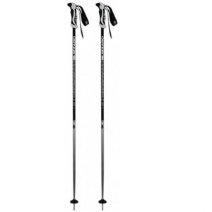 Síbotok BLIZZARD Allmountain ski poles, silver kép