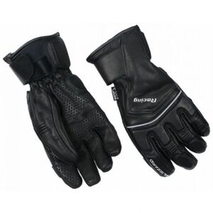 Síkes kesztyűk BLIZZARD Racing Leather ski gloves, black silver kép