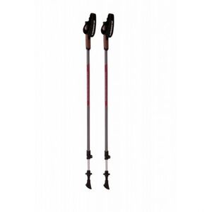 Nordic walking botok BLIZZARD Alu Performance nordic walking poles, anthracite pink kép
