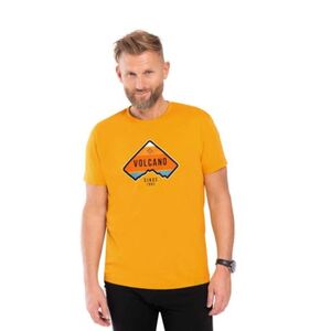 Férfi rövid ujjú póló VOLCANO T-VOLCANO 200-YELLOW kép