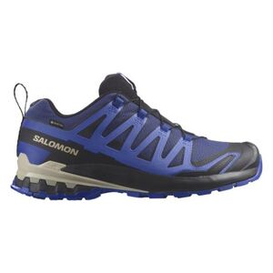 Férfi futó trail cipők SALOMON XA Pro 3D V9 GTX blue print surf the web lapis blue kép