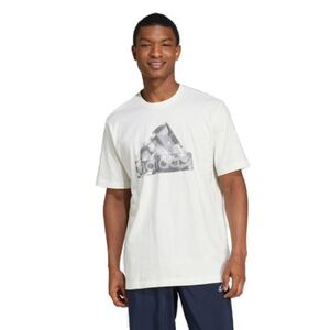 Férfi rövid ujjú póló ADIDAS M FI LOGO T-IW2653-Beige kép