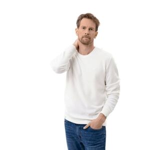 Férfi kapucnis pulóver VOLCANO TERRY 101-CREAM kép