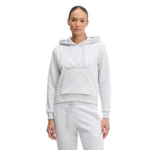 Női kapucnis pulóver ADIDAS W CO RUFF HD LGREYH kép