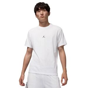 Férfi rövid ujjú póló NIKE M JORDAN DF SPRT JUMPMAN SS CREW-100 WHITE BLACK kép