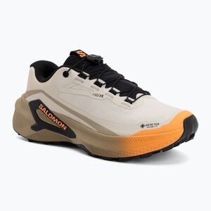 Női futócipők Salomon Genesis 2 GTX rainy day/desert tan (Genesis 2 GTX L45388200) kép