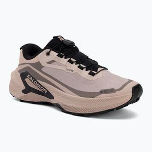 Női futócipők Salomon Genesis 2 GTX shadow gray/iron (Genesis 2 GTX L45388300) kép