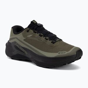 Férfi futócipők Salomon Genesis 2 GTX grape leaf/black (Genesis 2 GTX L49301900) kép